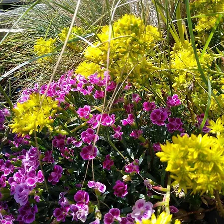 Duin En Zee Apartamento